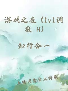 游戏之夜 (1v1调教 H)