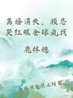 离婚消失，顾总哭红眼全球疯找
