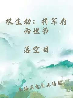 双生劫：将军府两世书