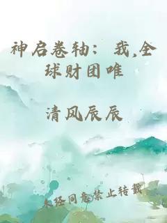 神启卷轴：我,全球财团唯