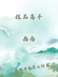 极品高手