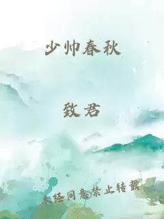 少帅春秋
