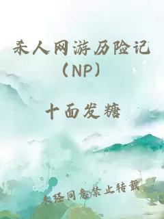 杀人网游历险记（NP）