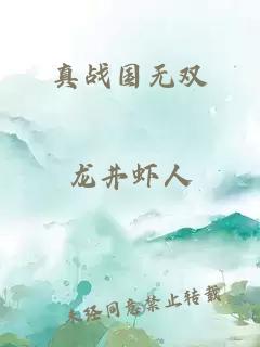 真战国无双