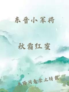 东晋小军将