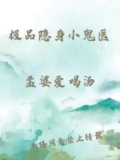 极品隐身小鬼医