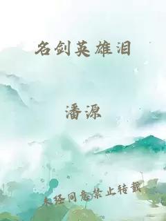 名剑英雄泪