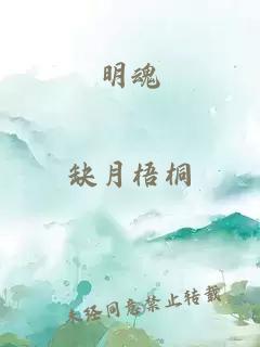 明魂