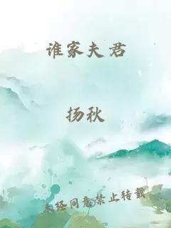 谁家夫君