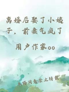 离婚后娶了小姨子，前妻气疯了