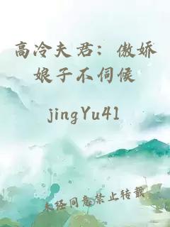 高冷夫君：傲娇娘子不伺候