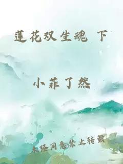 莲花双生魂 下