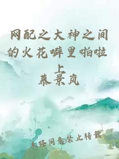 网配之大神之间的火花噼里啪啦 上