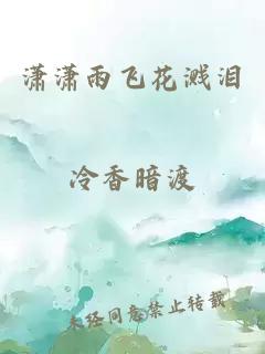 潇潇雨飞花溅泪