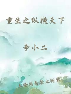 重生之纵横天下