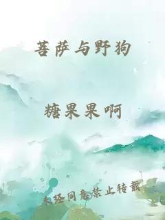 菩萨与野狗