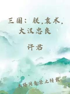 三国：朕,袁术,大汉忠良