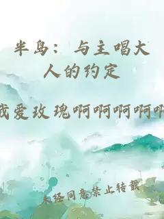 半岛：与主唱大人的约定