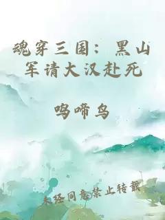 魂穿三国：黑山军请大汉赴死