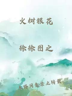 火树银花