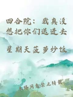 四合院：我真没想把你们送进去
