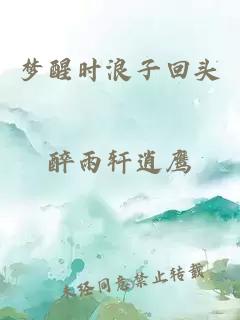 梦醒时浪子回头