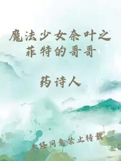 魔法少女奈叶之菲特的哥哥