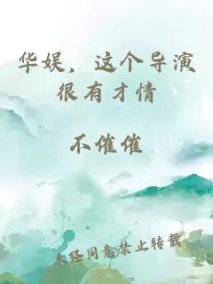 华娱，这个导演很有才情