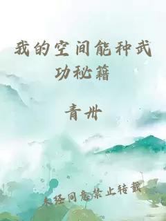 我的空间能种武功秘籍