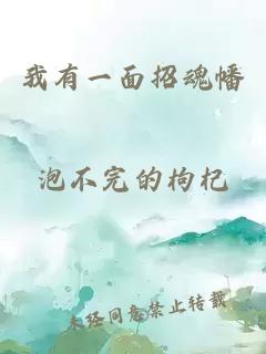 我有一面招魂幡
