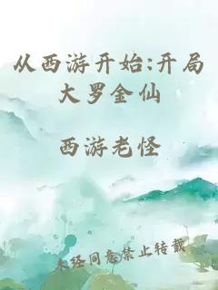 从西游开始:开局大罗金仙