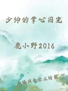 少帅的掌心囚宠
