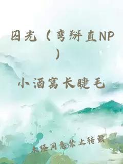 囚光（弯掰直NP）