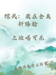 综武：我在全真肝经验