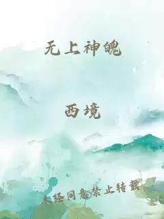 无上神魄