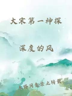 大宋第一神探