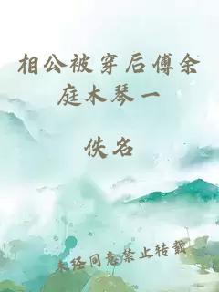 相公被穿后傅余庭木琴一