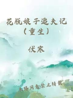 花瓶娘子追夫记（重生）
