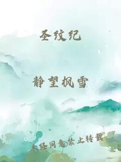 圣纹纪