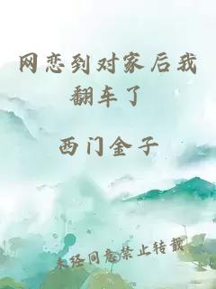 网恋到对家后我翻车了
