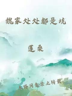 魏家处处都是坑
