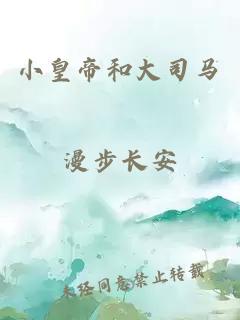 小皇帝和大司马