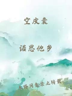 空皮囊