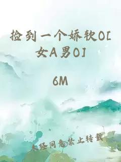 捡到一个娇软O[女A男O]