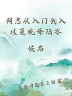 网恋从入门到入坟夏晓峰陆岑
