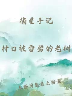 摘星手记