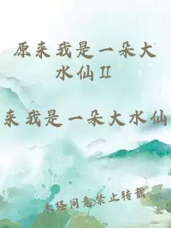 原来我是一朵大水仙Ⅱ
