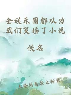 全娱乐圈都以为我们复婚了小说