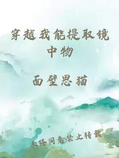 穿越我能提取镜中物