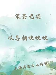 笨蛋老婆